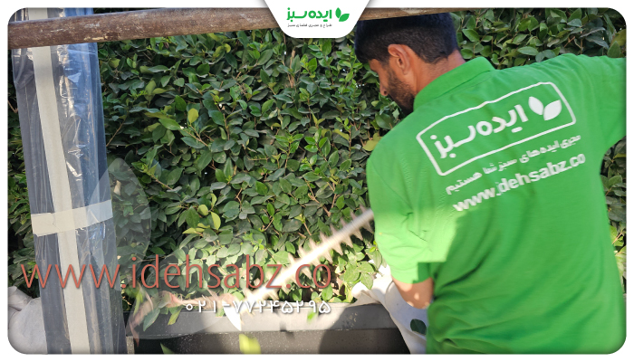 نمونه کار | پروژه روف گاردن شهرک غرب