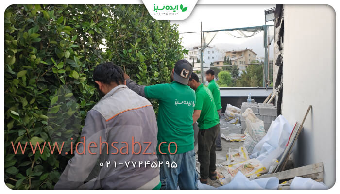 نمونه کار | تراس سبز