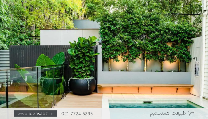 دیزاین محوطه&zwnj;سازی استخر | ایده سبز
