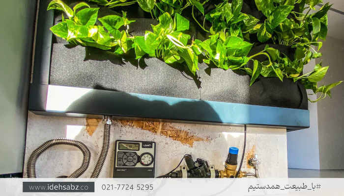 آبیاری قطره&zwnj;ای  گرین وال | مراقبت از گیاهان دیوار سبز