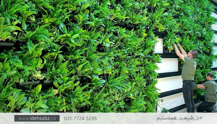 دیوار سبز | گلدان آویز پلاستیکی