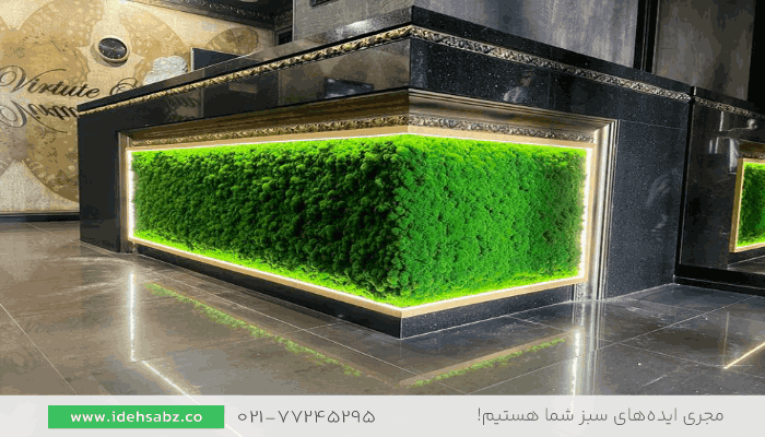دکوراسیون باشگاه بدنسازی | اجرای کانتر خزه&zwnj;ای