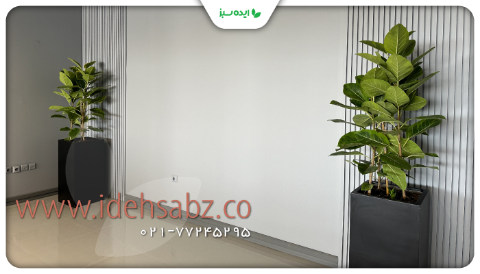 نمونه کار | فلاورباکس با گیاهان طبیعی در راهروی شرکت بیمه ایران