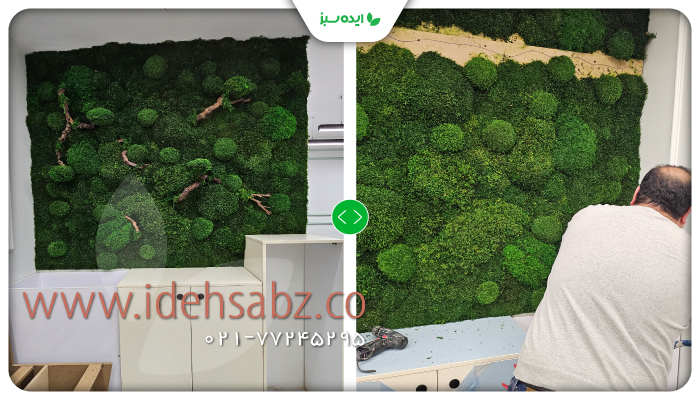 نمونه کار | پروژه ماس وال کلینیک زیبایی ونک