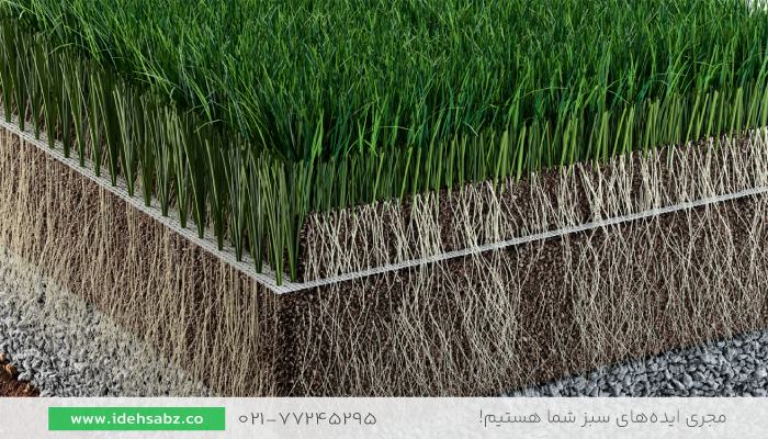 چمن هیبریدی | جایگزین چمن طبیعی