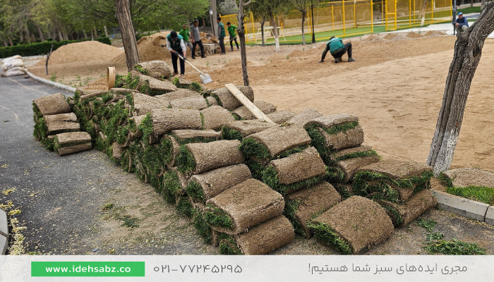چمن زمین فوتبال | چمن رولی طبیعی