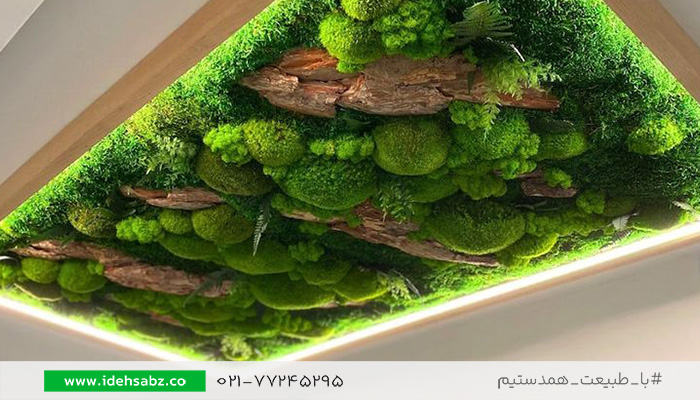 طراحی سقف سالن ماساژ | اجرای سقف خزه&zwnj;ای