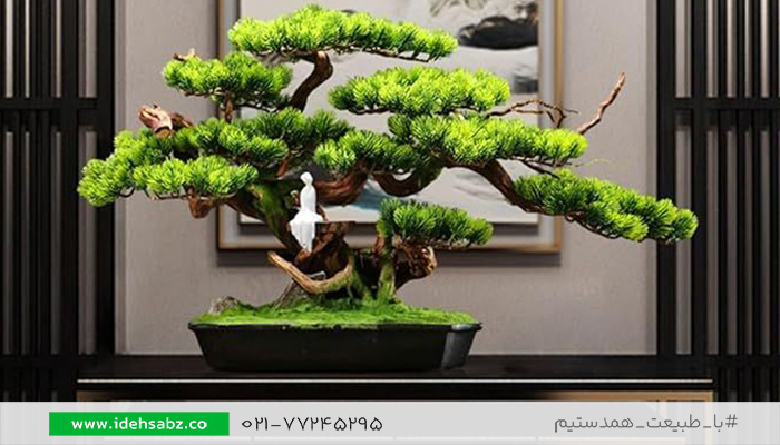 دکوراسیون داخلی سالن ماساژ | درخت جاودان
