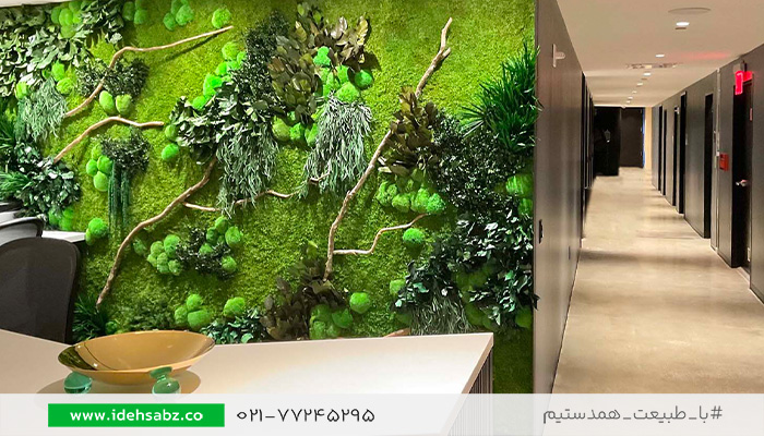 طراحی دیوار سالن ماساژ | اجرای دیوار سبز