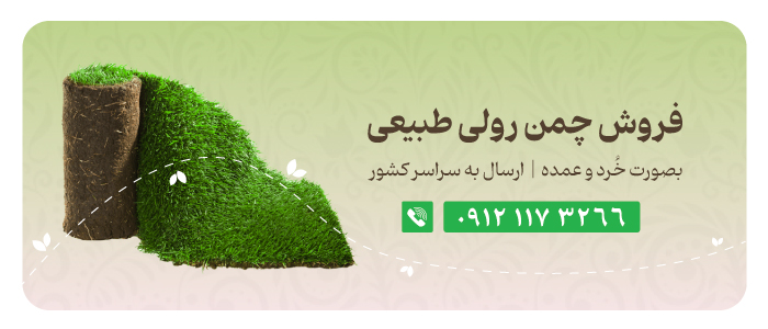 خرید چمن برموداگراس بصورت رولی