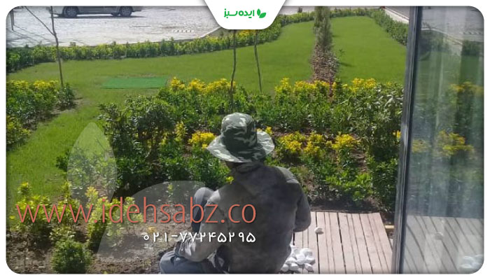 نمونه کار | محوطه سازی مدرن کارخانه
