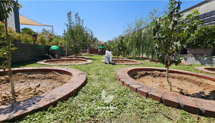 نمونه کار کاشت چمن دایکوندرا کردان