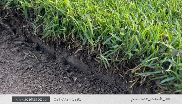 چمن برموداگرس | چمن رول طبیعی