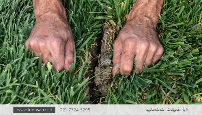 نحوه کاشت چمن رول طبیعی | جفت کردن لبه قطعات چمن