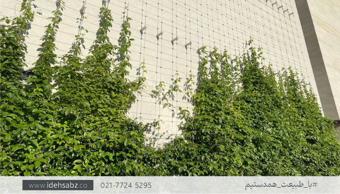 دیوار سبز شبکه ای | طراحی نمای ساختمان
