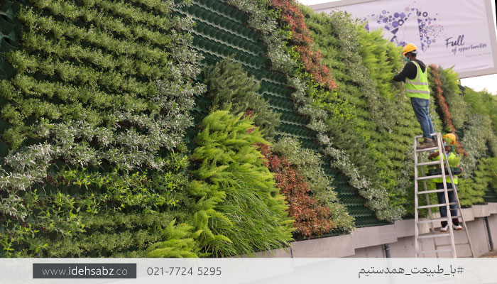 دیوار سبز مدولار | طراحی نمای سبز 