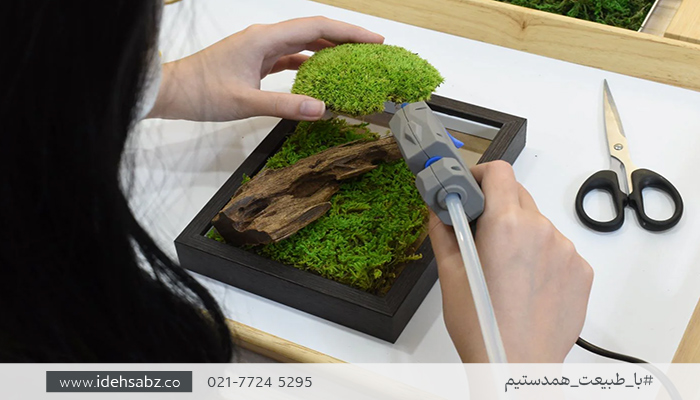 ساخت تابلو خزه&zwnj;ای با خزه کاشن