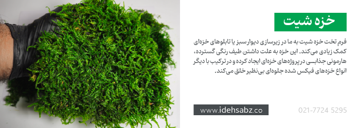 خزه شیت {Sheet Moss} در ساخت ماس وال