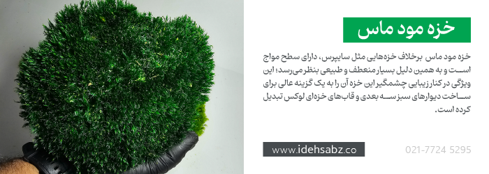 کاربرد خزه مود ماس {Mood Moss} در ساخت ماس وال 