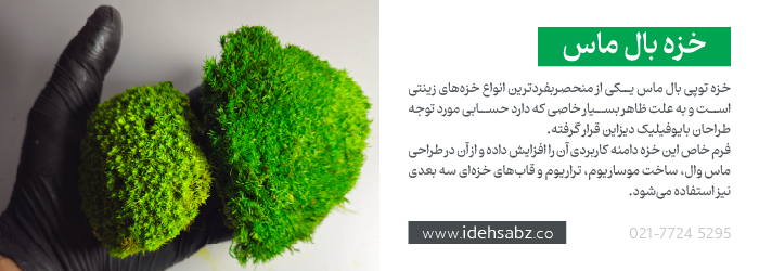 کاربرد خزه بال ماس {Ball Moss} در ساخت ماس وال 
