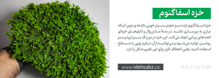 کاربرد خزه اسفاگنوم {Sphagnum Moss} در ساخت ماس وال 