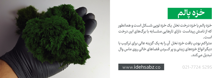کاربرد خزه درخت نخل یا خزه پالم {Palm Moss} در ساخت ماس وال 