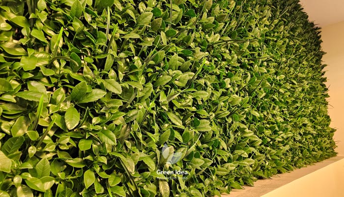 نمونه کار گرینوال مصنوعی سرای سنتی خاقان | مجری شرکت ایده سبز