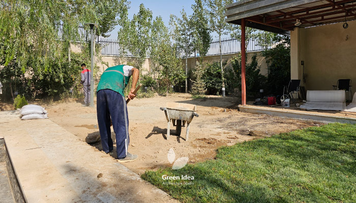 نمونه کار کاشت چمن رولی طبیعی فستوکا کرج