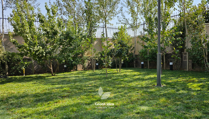 نمونه کار کاشت چمن رولی طبیعی فستوکا کرج