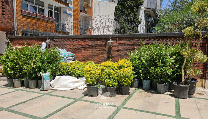 پروژه طراحی روف گاردن شرکت پتاس آسیا تهران