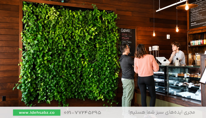 اجرای دیوار سبز در دکوراسیون کافی&zwnj;شاپ کوچک