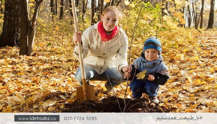 کاشت درخت در پاییز